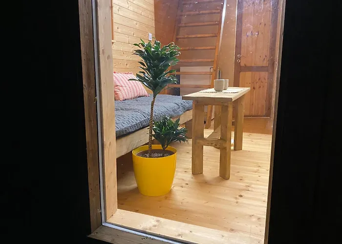 Mini S Rybnickem A Saunou 롯지